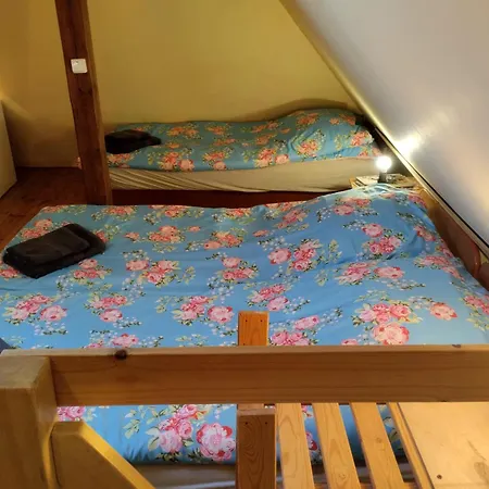 Yellow Submarine شقة *