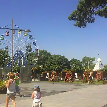 Yellow Submarine Miedzyzdroje